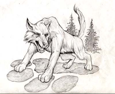 Senior spirit wear design: huskypawprint