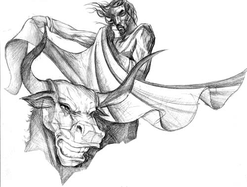 Senior spirit wear design: matadorcool