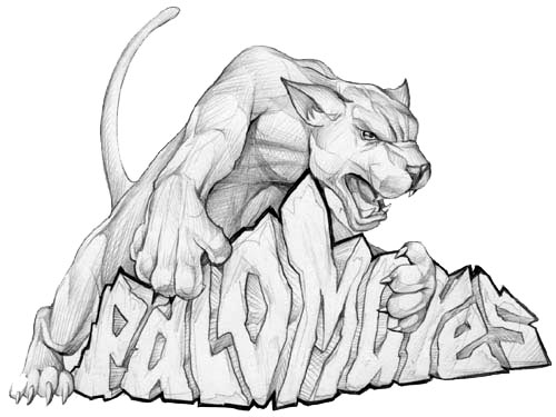 Senior spirit wear design: panther palomares